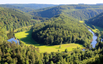 Sécurité et tranquillité : vivre dans les Ardennes loin du stress urbain