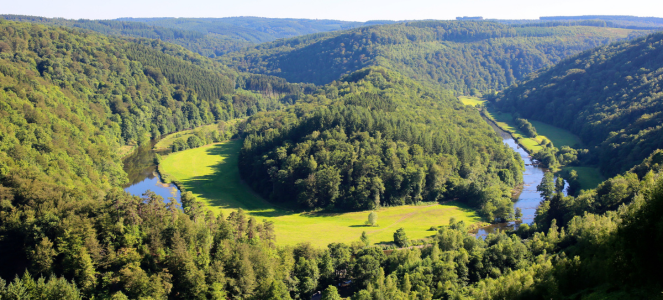 Sécurité et tranquillité : vivre dans les Ardennes loin du stress urbain