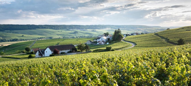 Où construire à 15 minutes de Reims ?