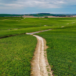Où construire sa maison dans la Marne (hors Reims)