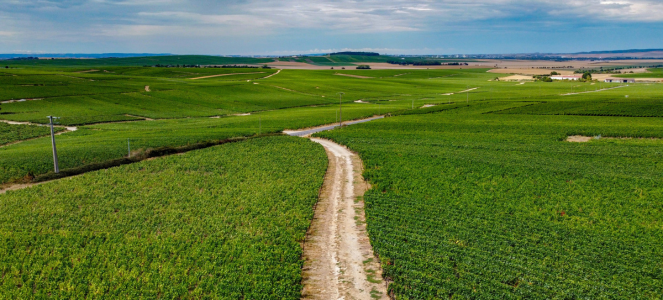 Où construire sa maison dans la Marne (hors Reims)